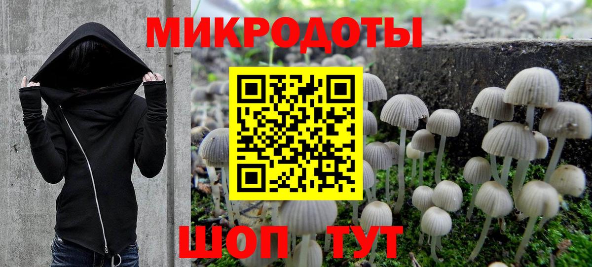 Канск  Галлюциногенные грибы ЛСД  Вход с VPN  Псилоцибиновые грибы прущие грибы 